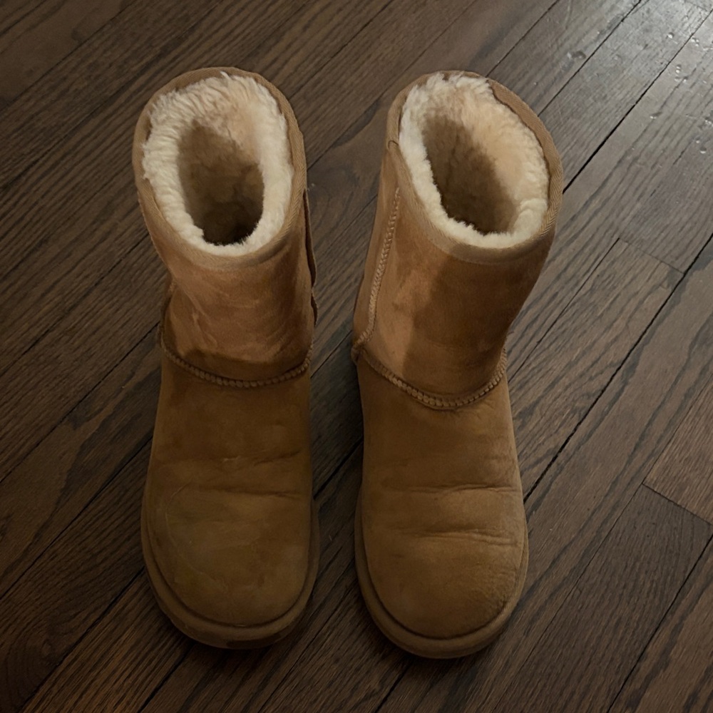 Classic Chestnut Uggs Boots 8
